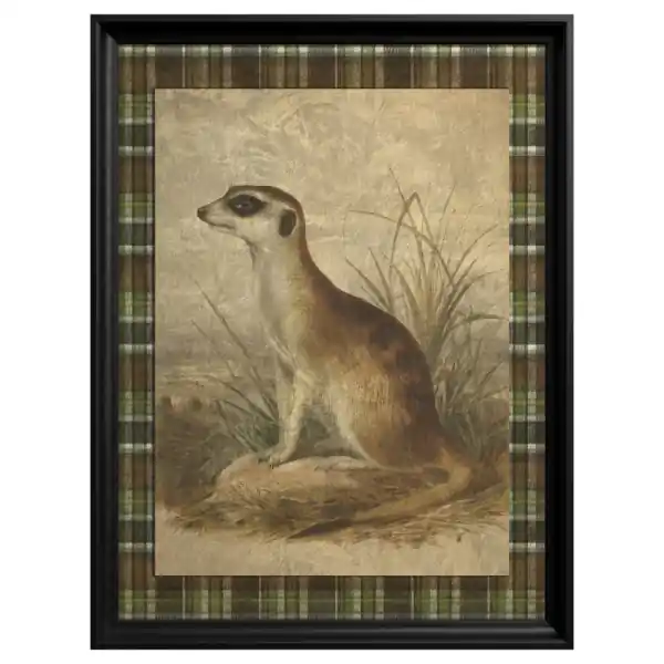 Tablou Meerkat Disponibil imediat