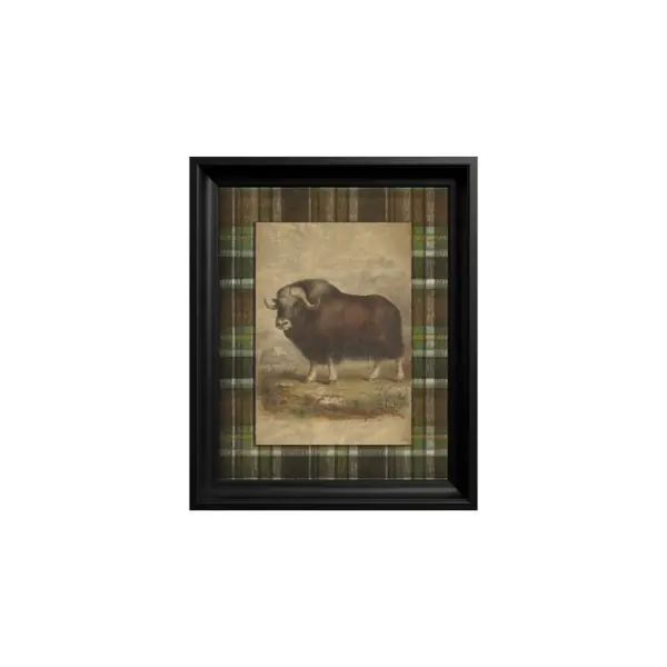 Preț mic Tablou Musk Ox