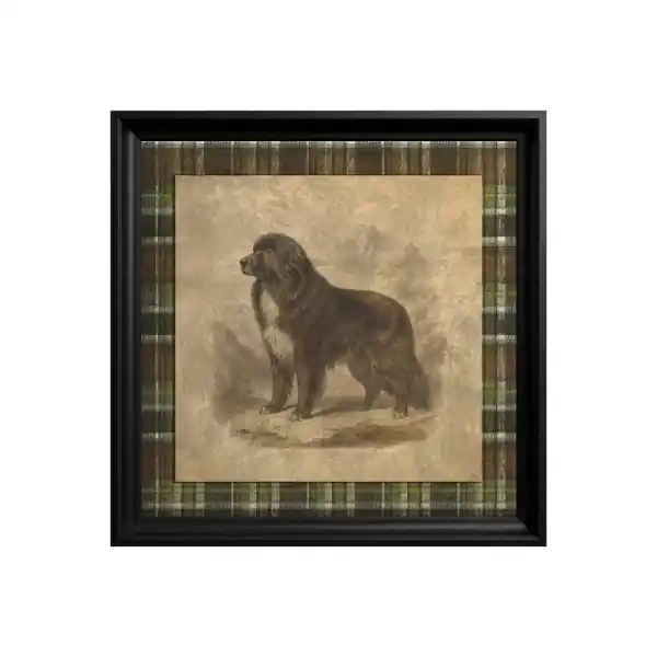 Tablou Newfoundland Dog Mai ieftin