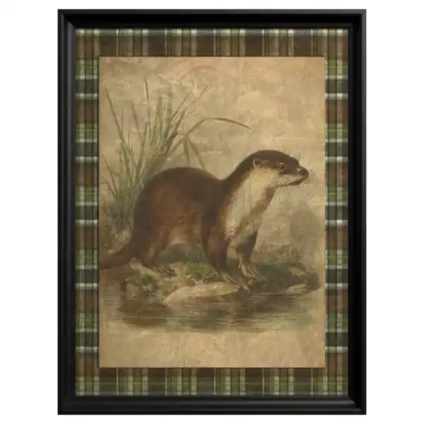 Preț redus Tablou Otter