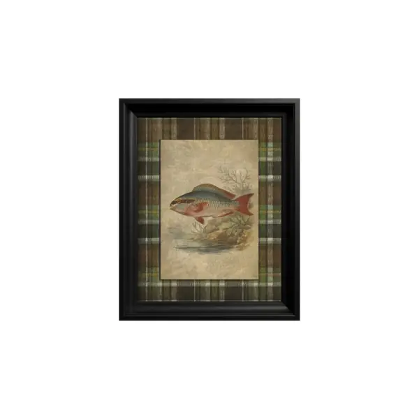 Lichidare de stoc Tablou Parrotfish