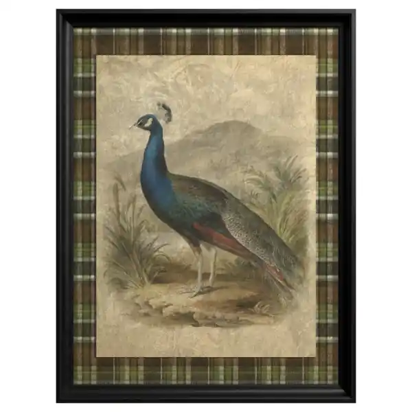 Tablou Peacock Preț redus