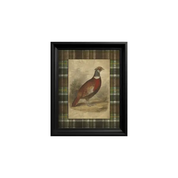 Noutate Tablou Pheasant