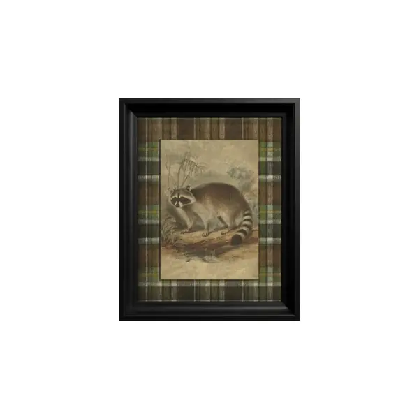 Popular Tablou Raccoon
