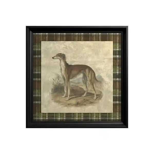 Tablou Saluki dog Vezi acum