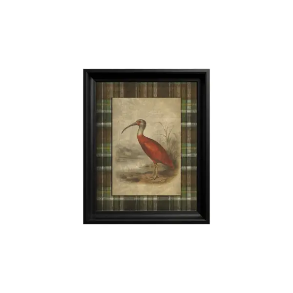 Tablou Scarlet Ibis Discount