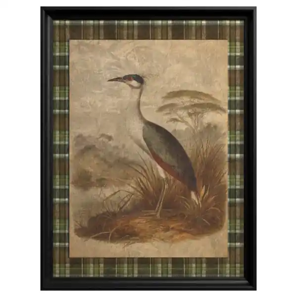 Reducere de preț Tablou Secretary bird
