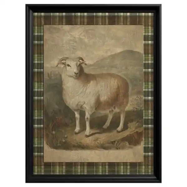 Tablou Domestic Sheep Plată sigură