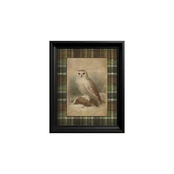 Mai ieftin Tablou Snowy Owl