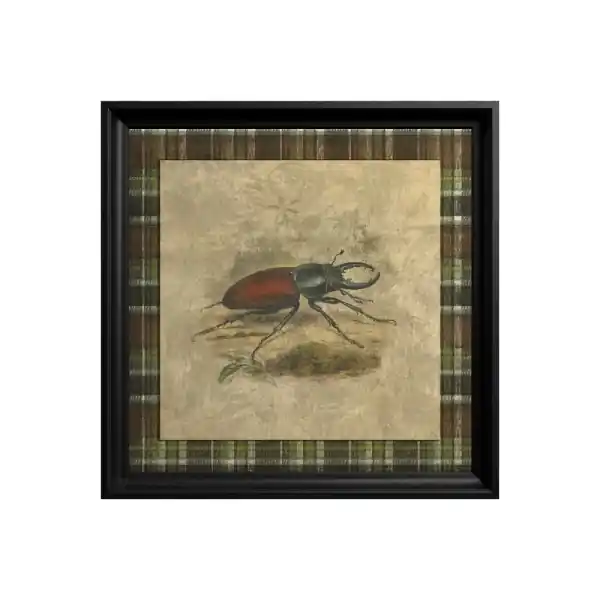 Preț promoțional Tablou Stag Beetle