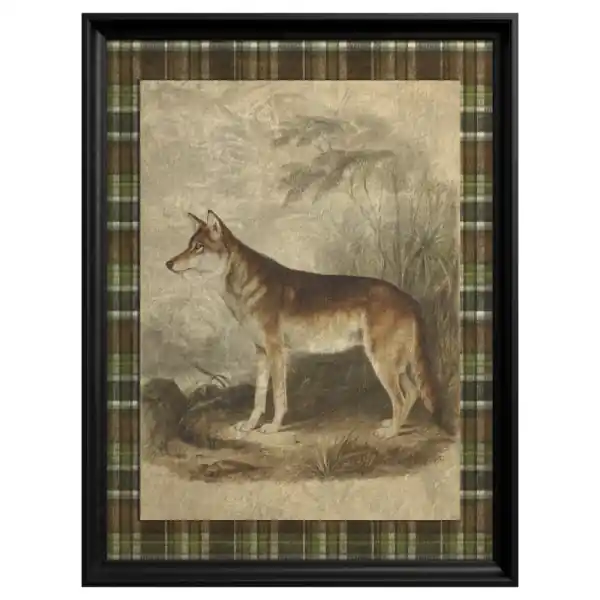 Tablou Dingo Bestseller