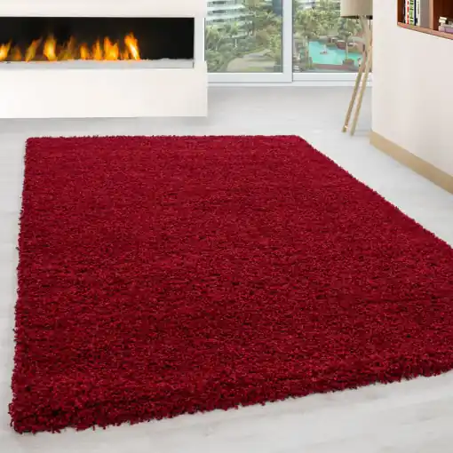 Nu rata Covor Life Rosu V1 300x400 cm
