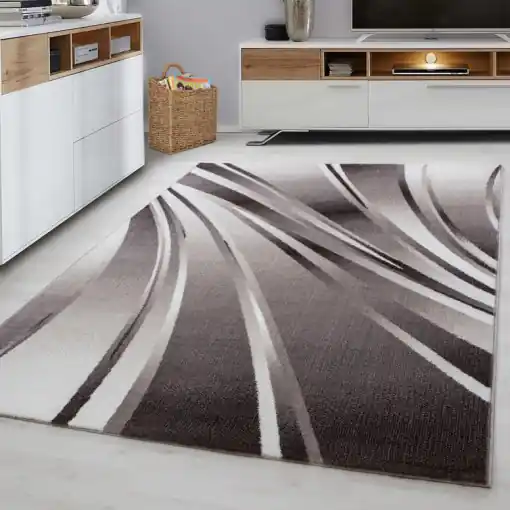 Covor Parma Maro V1 120x170 cm Preferatul clienților