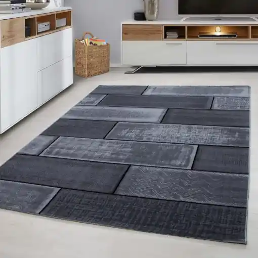 Disponibil imediat Covor Plus Negru V3 160x230 cm