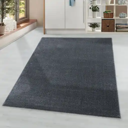 Cumpără acum Covor Rio Gri V1 80x150 cm