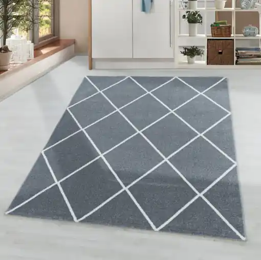 Covor Rio Silver V2 80x150 cm Cumpără online
