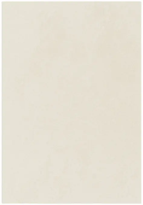 Covor Din Microfibra Sky - 60x115 cm, 2300 gr/mp Reducere de preț