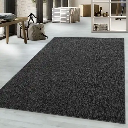 Covor Nizza Antracit 200x290 cm Ofertă