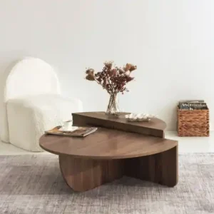 Set 2 Masute de Cafea Model Hayes, 90x60x30/85x30x35 cm, Nuc Reducere extra