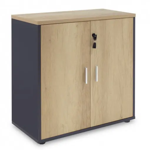 Dulap Model Lotus, Stejar/Gri inchis, 80x40x80 cm Popular