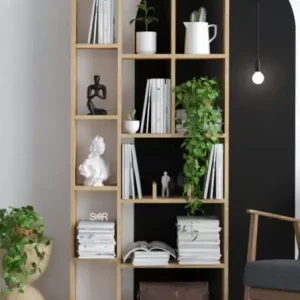 Biblioteca Salvador, Model Demios, Nuc Ofertă limitată