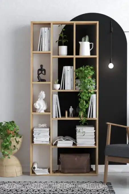 Biblioteca Salvador, Model Demios, Nuc Ofertă limitată