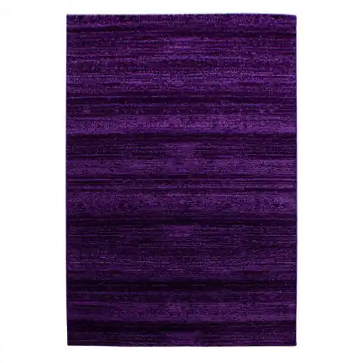 Covor Plus Lila V1 240 x 340 cm Reducere extra