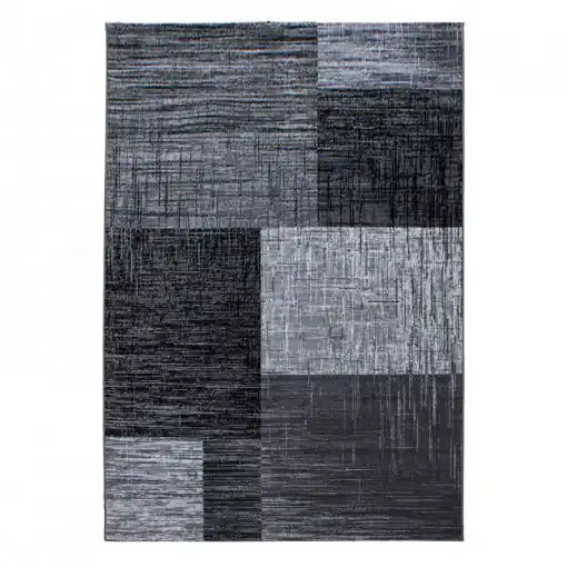 Cumpărături sigure Covor Plus Negru V1 280 x 370 cm