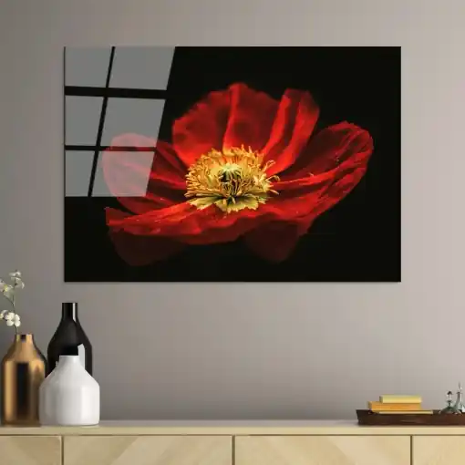 Reducere extra Tablou din sticlă temperată UV Multicolor 70x100 cm