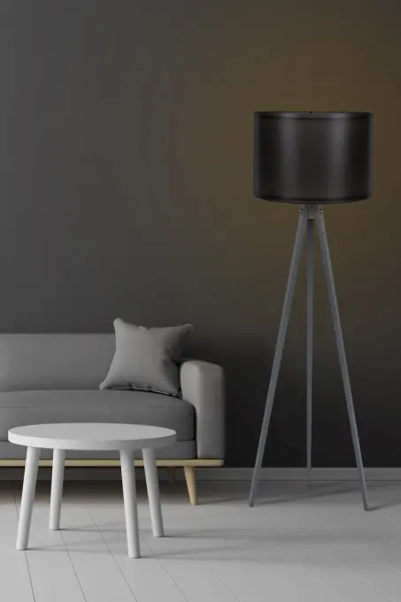 Discount Lampadar 112 Negru 25x38x145 cm