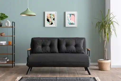 Premium Canapea extensibilă cu 2 locuri Sando Gri inchis 175x133x41 cm