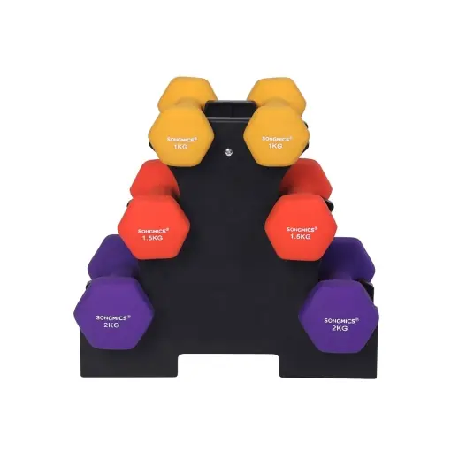 Set 6 gantere Songmics Negru 34x30x14.5 cm Preț promoțional