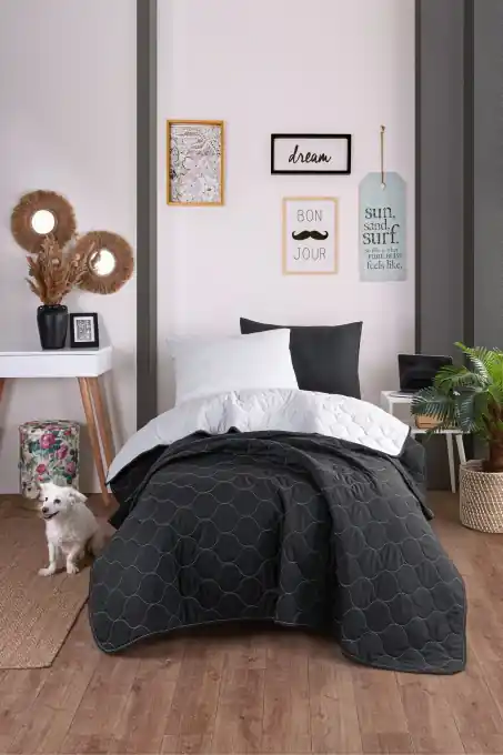 Set Cuvertura de pat 1 Persoana Model Solid Black, Grey Ofertă limitată