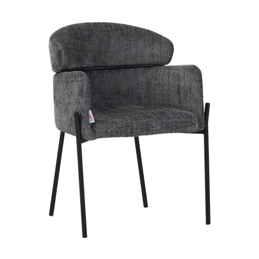 Retur gratuit Scaun cu Brate Model Tolerse, Gri deschis/Negru, 58x57x80 cm