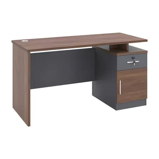 Birou profesional Model Cassius, Gri inchis/Nuc, 120x60x75 cm Plată securizată